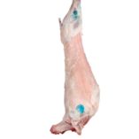 zygouri